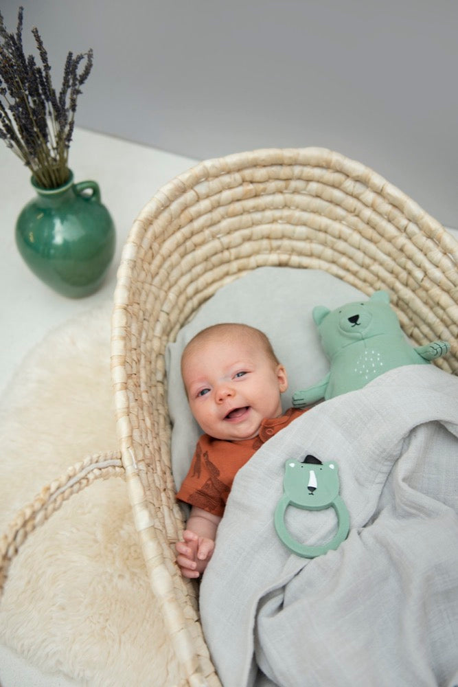 TRIXIE, Beißring, Mr. Bear