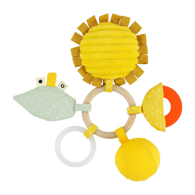 Trixie Activity Ring, Mr. Lion