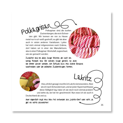 Buch: Schweden for Kids