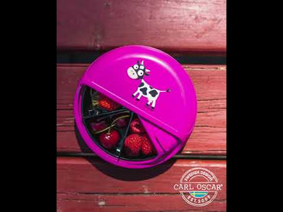 BentoDISC™, Lunchbox mit 5 Fächern, groß